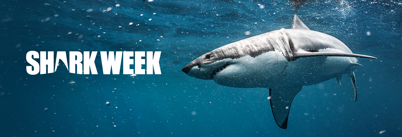 Shark Week