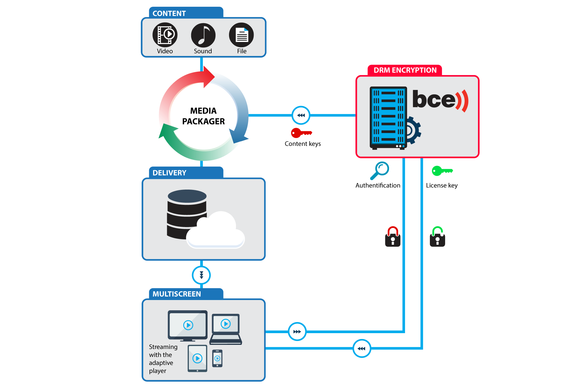 Multi Screen Digital Rights Management